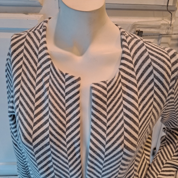 Ann Taylor Gray and White Striped Blazer Sweater - Picture 2 of 8